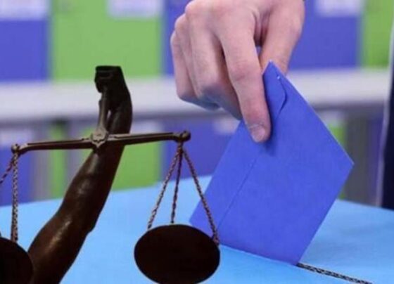 İstanbul Barosu Seçimlerinde Heyecan Tavan Yaptı