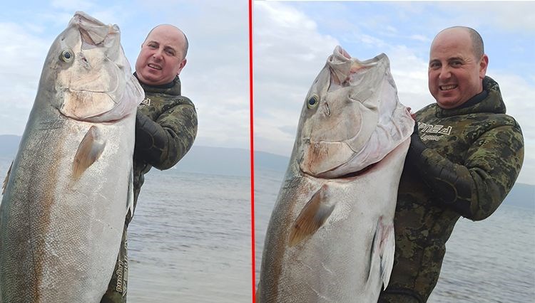 Çanakkale’de Dev Vatoz Şoku! 1.8 Metre, 63 Kilo!