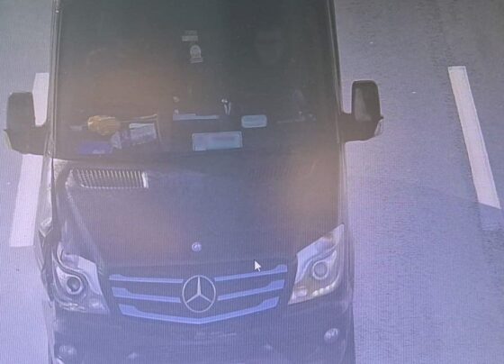 Kemerburgaz yolunda Gürcan Koçak'ı çarparak öldüren sürücü yakalandı: İşte ilk ifadesi